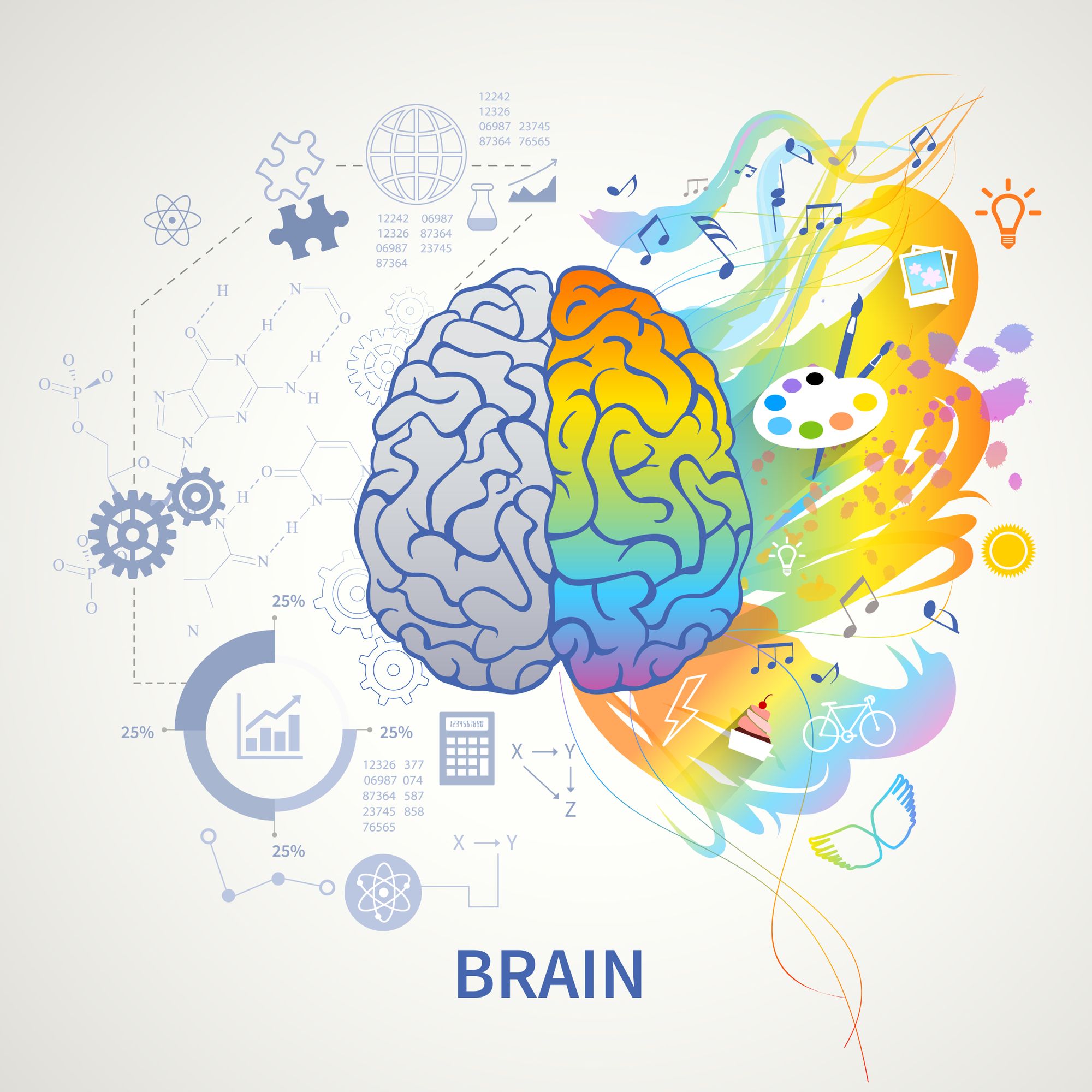 Gli emisferi cerebrali e le reti neurali