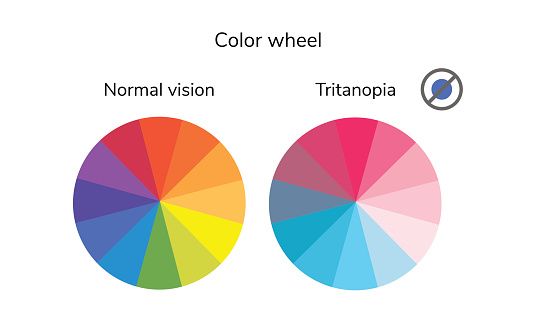 La ruota dei colori